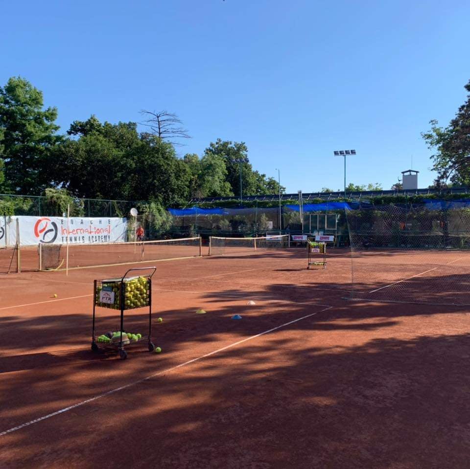 Enache International Image